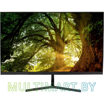 Монитор N-Tech 24L (19282)